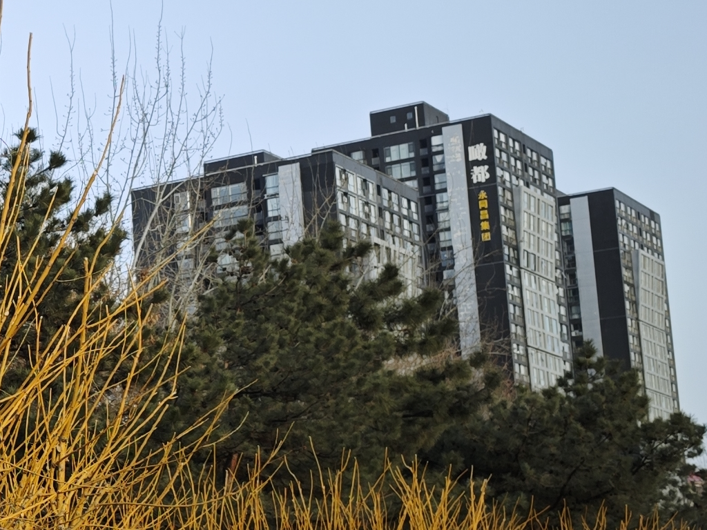 长焦端照片,使用手机拍摄后裁切